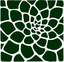 Asset 9