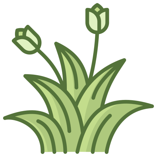 flora_10004533