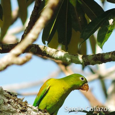 ajuste-image_estudio-tecnico-de-soporte